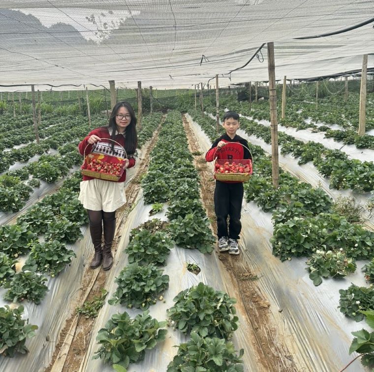 Hạnh Lợi Farm.