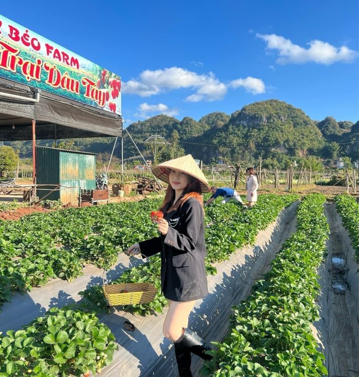 Huy Béo Farm.