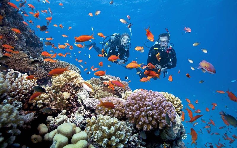 Tour Hà Nội - Hạ Long 3 Ngày 2 Đêm - Đắm Mình Trong Sóng Biển 2025