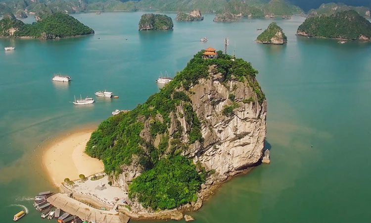 Tour Hạ Long Teambuilding 3 Ngày 2 Đêm - Trải Nghiệm Bên Vịnh Biển 2025
