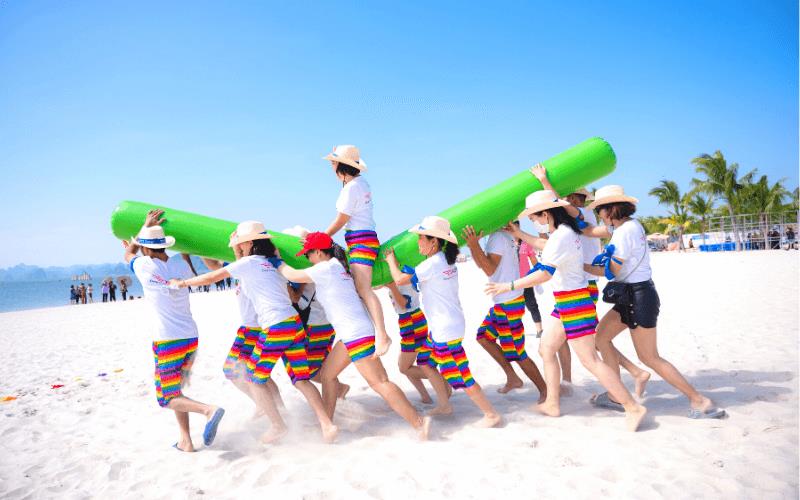 Tour Hạ Long Teambuilding 3 Ngày 2 Đêm - Đột Phá Giới Hạn Nhóm 2025