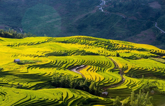 Hà Nội - Mù Căng Chải - Trạm Tấu - Cu Vai - Suối Giàng 3N2Đ