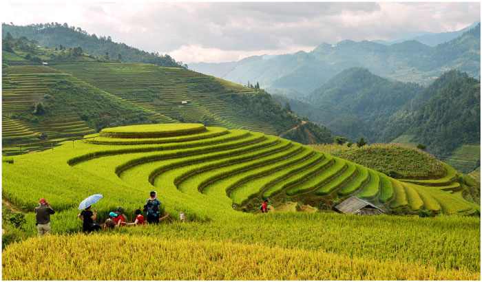 Hà Nội - Mù Căng Chải - Trạm Tấu - Cu Vai - Suối Giàng 3N2Đ