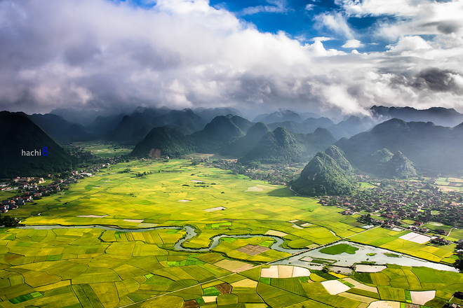 Mây núi hòa quyện và khung cảnh mùa lúa vàng tạo nên một bức tranh đồng quê tuyệt đẹp. 