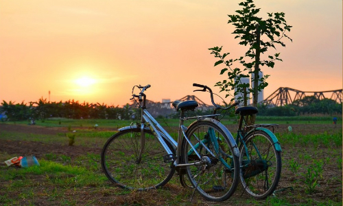 Từ cầu Long Biên, đạp xe xuống bãi giữa sông hồng, một vùng đất trù phú với ngô rau xanh ngát