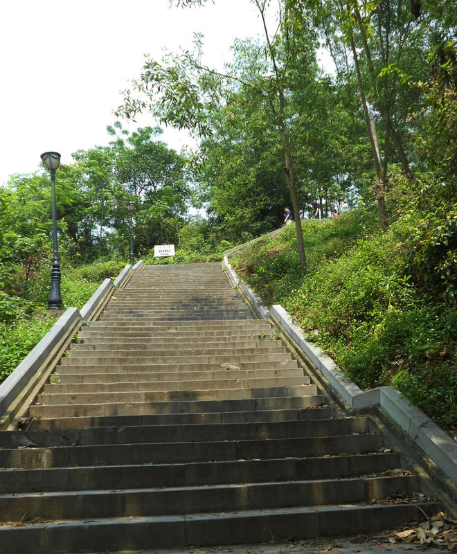Muốn đến thăm chùa Đọi, nếu xuất phát từ Hà Nội bạn phải đi trên quốc lộ 1 tới thị trấn Đồng Văn thì rẽ trái đi Hoà Mạc khoảng 8km là đến nơi. Do nằm trên đỉnh núi, du khách phải leo qua hơn 300 bậc đá uốn quanh co men theo triền núi khá đẹp mắt.