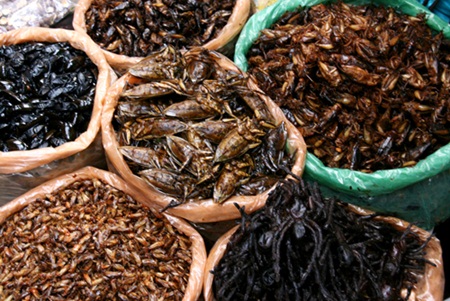 Côn trùng được bày bán la liệt ở các khu chợ tại Campuchia.