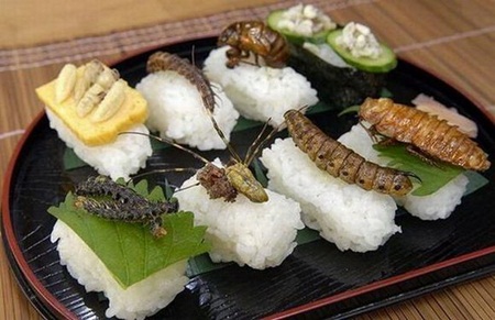 Các món sushi côn trùng của người Nhật.