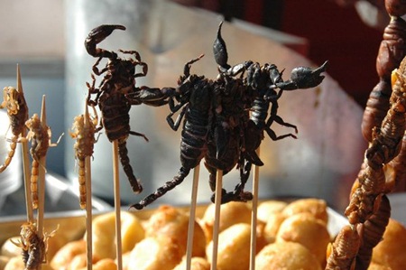 Món bọ cạp nướng nổi tiếng của người Thái.