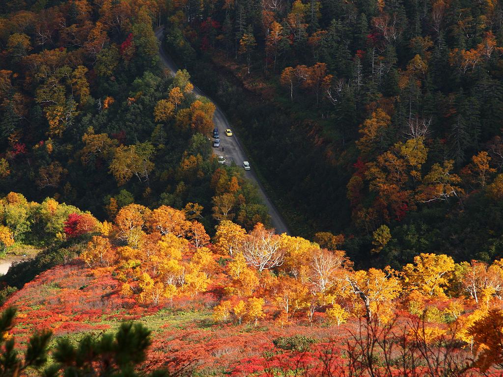 mùa thu Hokkaido - Nhật Bản