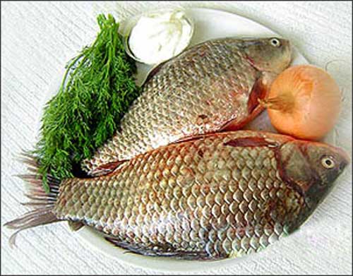Cá chép làm nên gỏi cá Tân Mai được chọn kỹ để cho thứ thịt mịn, ngọt