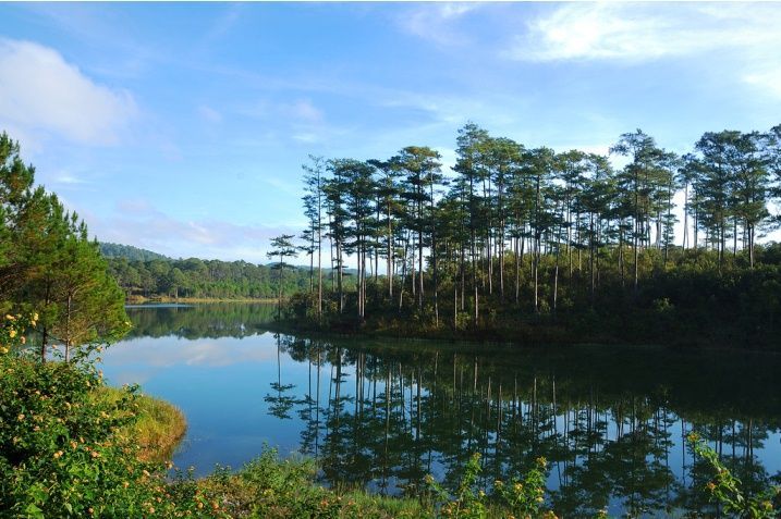 Hồ Tuyền Lâm.