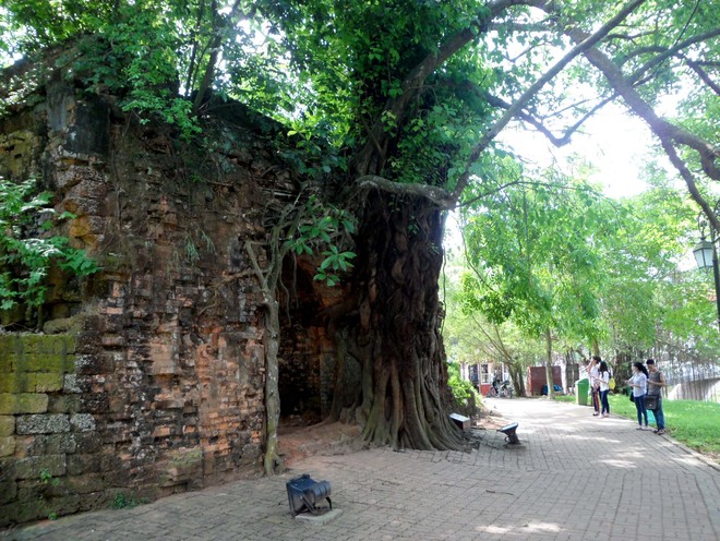 Rêu phong thành cổ Sơn Tây