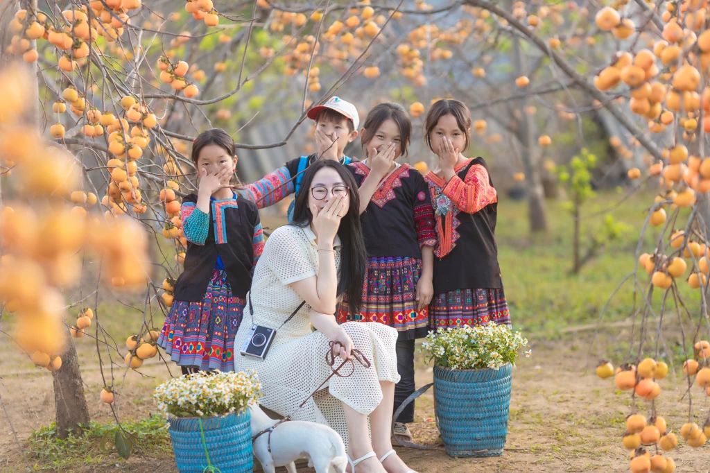 Du khách tham quan Mộc Châu mùa hồng chín.