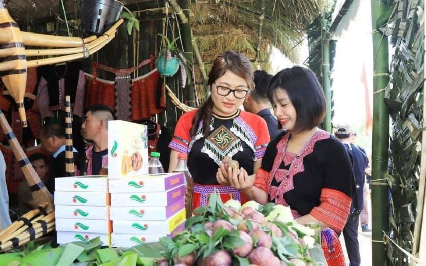 Du khách tham gia lễ hội hái quả ở Mộc Châu mùa mận chín.