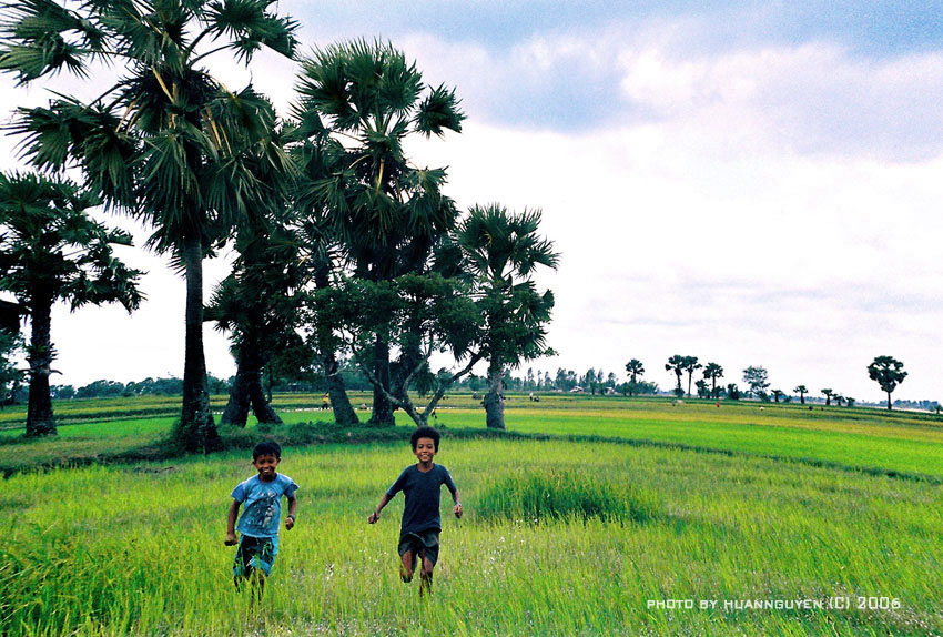 Cây thốt nốt là một đặc sản của du lịch An Giang nói chung và Châu Đốc nói riêng. Ảnh: victoriahotels.asia Cây thốt nốt là một đặc sản của du lịch An Giang nói chung và Châu Đốc nói riêng.