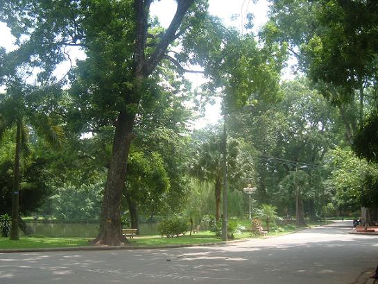 con đường bên trong công viên