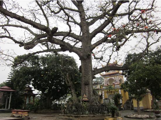 Đền Mõ 