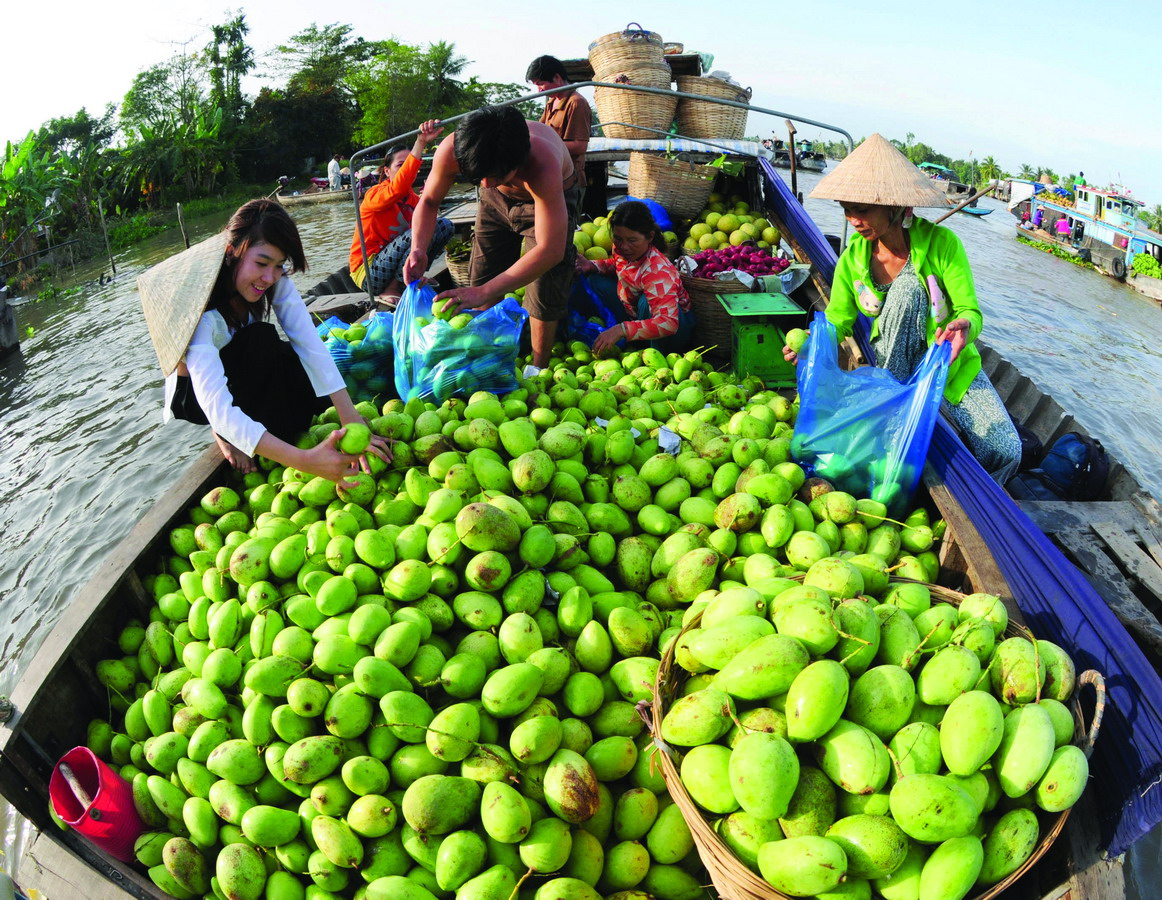 Tháng 5 đến tháng 8 là mùa thu hoạch hoa quả 