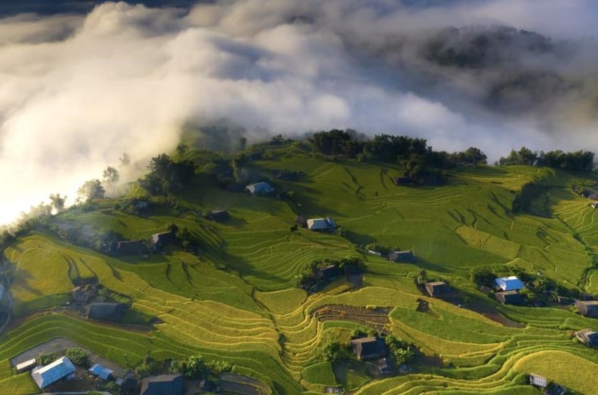 Ruộng bậc thang ở Hoàng Su Phì, Hà Giang.