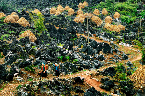 Cao nguyên đá Đồng Văn - điểm du lịch hấp dẫn nhất ở Hà Giang.