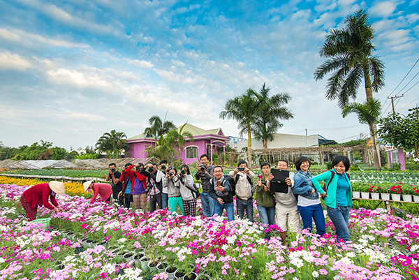 Mùa hoa nở rộ giáp tết là thời điểm Sa Đéc thu hút nhiều du khách đến tham quan chụp ảnh.