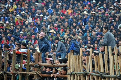 Lễ hội Chọi trâu cổ xưa nhất Việt Nam