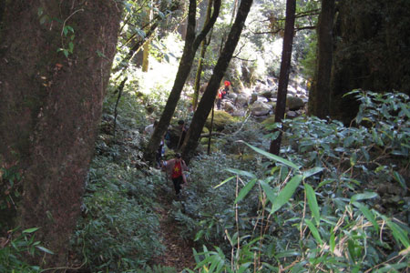 Nhóm leo núi phải xuyên qua rừng đại ngàn.