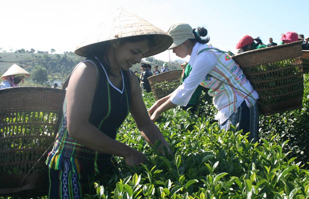 https://cdn.media.dulich24.com.vn/diemden/pho-nui-blao-5317/pho-nui-blao-17.JPG
