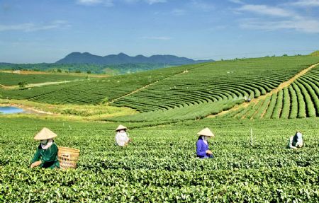 https://cdn.media.dulich24.com.vn/diemden/pho-nui-blao-5317/pho-nui-blao-23.JPG