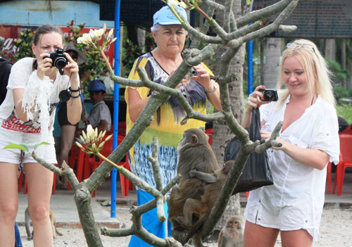 Khách du lịch nước ngoài trên đảo Khỉ - Ảnh: Nguyễn Chung