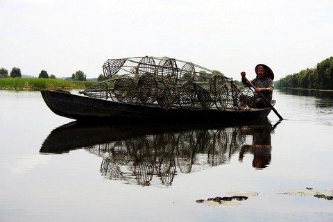 Nhiều hộ gia đình nghèo tại Tràm Chim được phép đặt lờ bắt cá, hái rau…khai thác tài nguyên trong vườn để kiếm thêm thu nhập    Ảnh: N.V.Hùng, H.Nghị